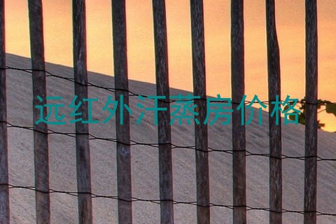 远红外汗蒸房价格