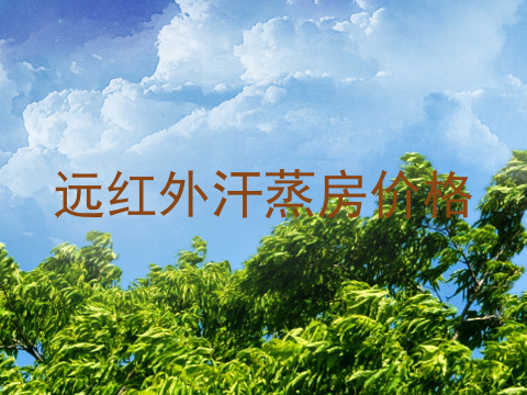 远红外汗蒸房价格
