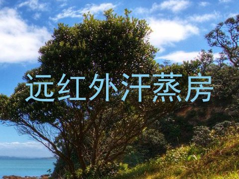 远红外汗蒸房