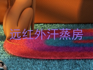 远红外汗蒸房