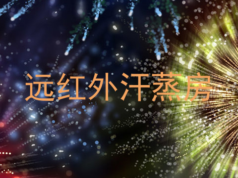 远红外汗蒸房