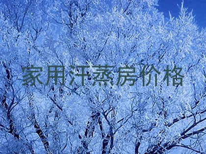 家用汗蒸房价格