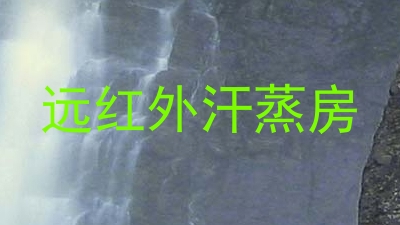 远红外汗蒸房