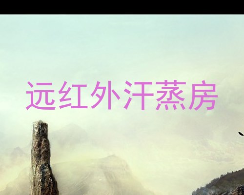 远红外汗蒸房