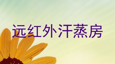远红外汗蒸房