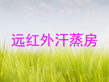 远红外汗蒸房