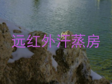 远红外汗蒸房