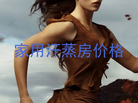 家用汗蒸房价格
