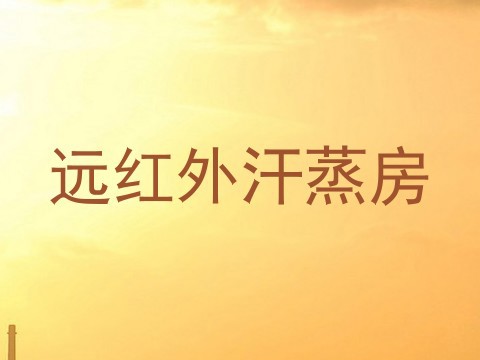 远红外汗蒸房