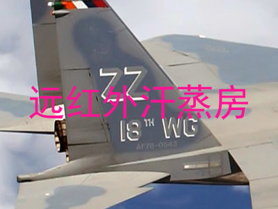 远红外汗蒸房