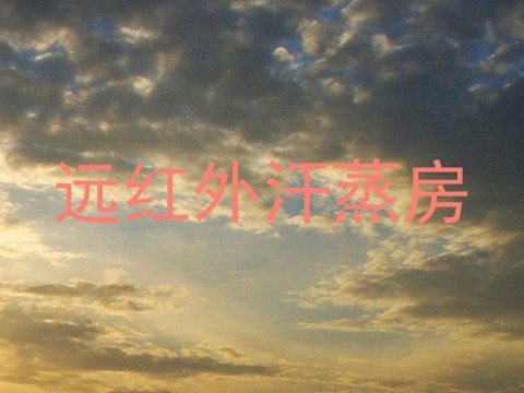 远红外汗蒸房