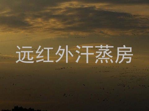远红外汗蒸房