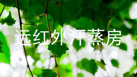 远红外汗蒸房