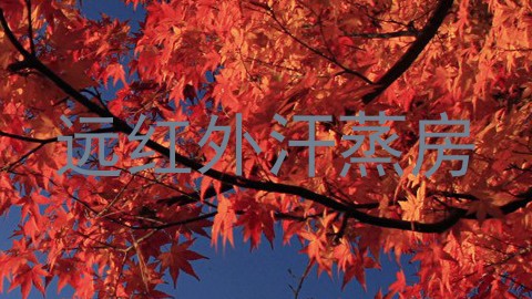 远红外汗蒸房