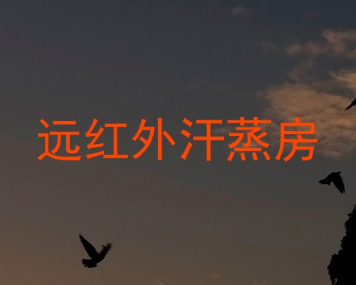 远红外汗蒸房
