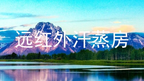 远红外汗蒸房