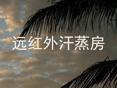 远红外汗蒸房