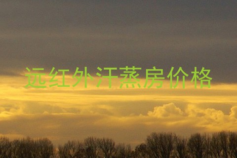 远红外汗蒸房价格