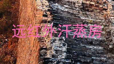 远红外汗蒸房