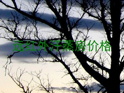 远红外汗蒸房价格