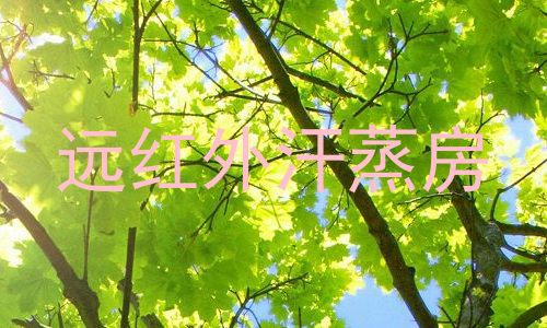 远红外汗蒸房