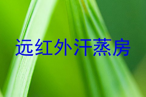 远红外汗蒸房