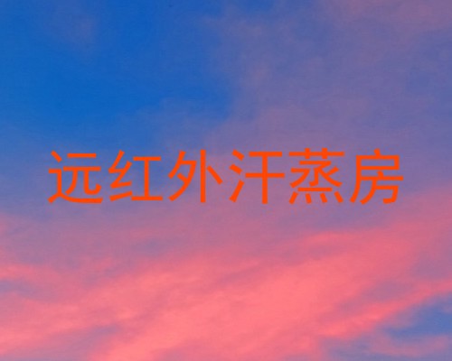 远红外汗蒸房