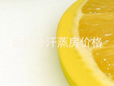 远红外汗蒸房价格