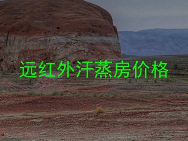 远红外汗蒸房价格
