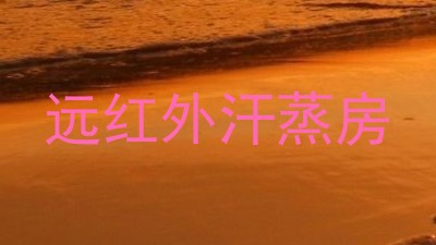 远红外汗蒸房