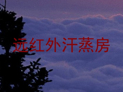 远红外汗蒸房