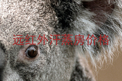 远红外汗蒸房价格