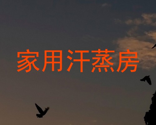 家用汗蒸房