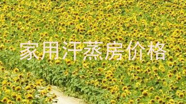 家用汗蒸房价格