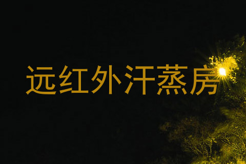 远红外汗蒸房