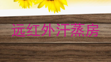 远红外汗蒸房