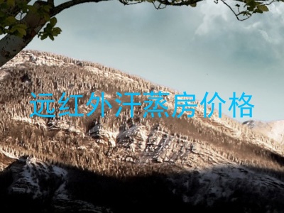 远红外汗蒸房价格