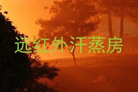 远红外汗蒸房