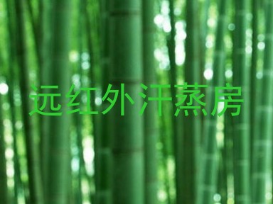 远红外汗蒸房