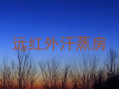 远红外汗蒸房
