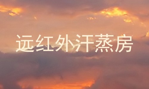 远红外汗蒸房