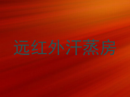 远红外汗蒸房