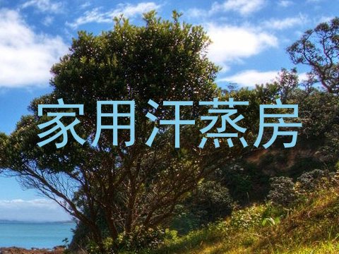 家用汗蒸房