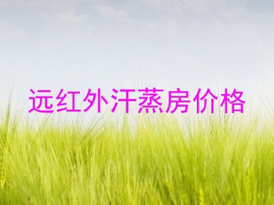 远红外汗蒸房价格