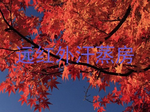 远红外汗蒸房