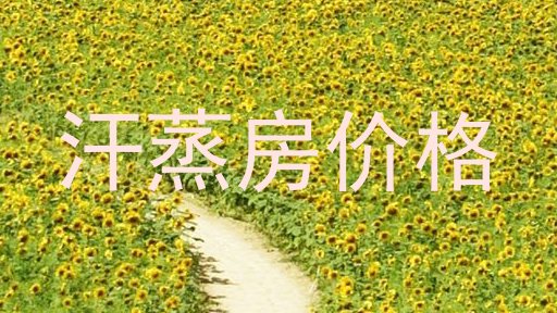 汗蒸房价格
