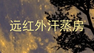 远红外汗蒸房