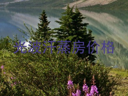 光波汗蒸房价格