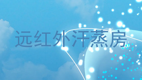 远红外汗蒸房