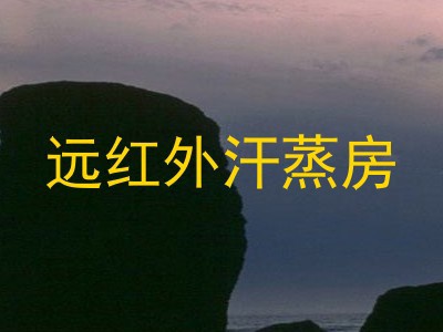 远红外汗蒸房